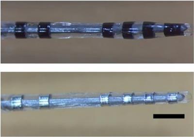 Improving Deep Brain Stimulation Electrode Performance in vivo Through Use of Conductive Hydrogel Coatings